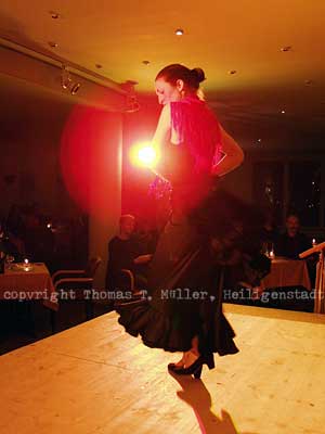 Spanische Tänzerinim Eichsfelder Kulturhaus(Foto für Thüringer Allgemeine, 2003)